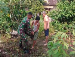 Babinsa Koramil Karanganyar Aktif Laksanakan Gotong Royong Di Wilayah Binaannya