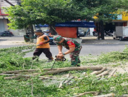 Utamakan Keselamatan Warga, Babinsa Kelurahan Tipes Laksanakan Kerja Bakti Tebang Pohon