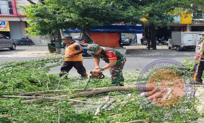 Utamakan Keselamatan Warga, Babinsa Kelurahan Tipes Laksanakan Kerja Bakti Tebang Pohon