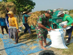 Kehadiran Babinsa Bantu Meningkatkan Hasil Panen Petani