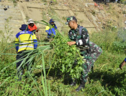 Kodim 0735/Surakarta Gelar Karya Bakti TNI Satkowil Penamaan Pohon Dan Pembersihan Bantaran Kali Pepe