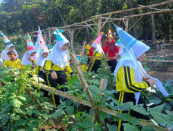 Indahnya Kebersamaan Tanpa Kekerasan, MI Al Hasaniyah Giat Mpls di Lahan Sayur