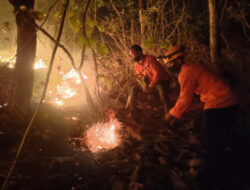 Kerjasama TNI dan Damkar Berhasil Jinakkan Kebakaran Hutan di Trenggalek