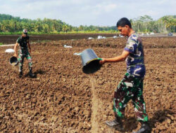 Anggota Kodim Kulon Progo Melanjutkan Penyiapan Lahan Cetak Sawah Baru