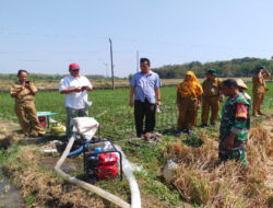 Babinsa Nogosari Dampingi Poktan Melalui Program Pompanisasi