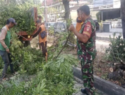 Demi Keselamatan Warga, Babinsa Penumping Bersama DLH Laksanakan Penebangan Pohon