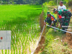 Sukseskan Program Pemerintah, Babinsa Koramil 0801/08 Tulakan Lakukan Pendampingan Pompanisasi