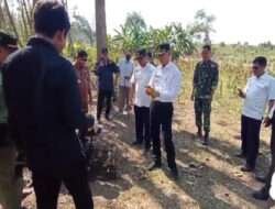 Tercapainya Sebuah Mimpi, Ketua LMDH Wotan Gandeng KPH Tuban Giat Pelepasan Puluhan Ekor Burung