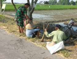 Babinsa Sawit Dukung Ketahanan Pangan Dengan Terjun Langsung Ke Lapangan