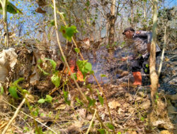 Polisi Bersama TNI dan Relawan Berhasil Padamkan Kebakaran di Gunung Liliran Ngawi