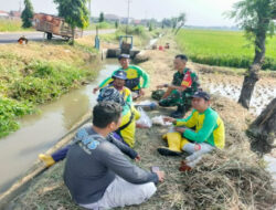 Babinsa dan Petani: Menjalin Kemitraan untuk Ketahanan Pangan Nasional