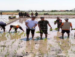 Kunjungan Kerja Wamentan RI dan Komitmen Kodim Boyolali dalam Perluasan Areal Tanam di Wilayahnya