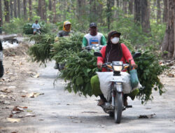 Jalan Baru Berkat TMMD 121 Mempermudah Akses Ekonomi di Dusun Ngasem, Bangunrejo Lor