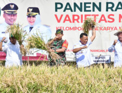 Dandim 0802/Ponorogo Ikut Panen Raya Padi Varietas Mantap