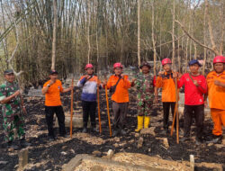 Sinergitas TNI dan BPBD Berhasil Padamkan Kebakaran Hutan di Trenggalek