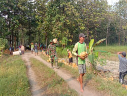 Percepat Program pembangunan Desa, Babinsa Mantingan Bersama Masyarakat Kerja Bakti Bangun Talud Jalan