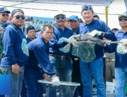 Labuhan Disiapkan sebagai Kawasan Budidaya Ikan, Panen Raya Kerapu Raih Omset Milyaran