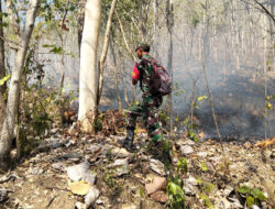 Aksi Heroik Babinsa Jatiprahu Selamatkan Hutan Trenggalek dari Kebakaran