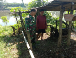 Melalui Pompanisasi Babinsa Pengkol Bantu Petani Mengairi Sawah