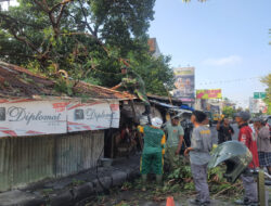 Sigap…!! Babinsa Joyotakan Bantu Evakusai Pohon Tumbang di Wilayah Binaan