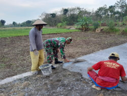 Babinsa Bergotong Royong Bersama Warga, Pengerasan Jalan di Desa Tegaldowo Segera Rampung