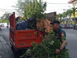 Pelihara Keindahan Taman, Babinsa Kelurahan Ketelan Bersama Tim Saberling Laksanakan Pembersihan