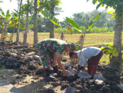 Babinsa Gabus Kerja Bakti, Bantu Warga Bangun Talud Jalan Tani