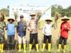 Kapolres Lingga Panen Padi Sawah di Desa Lanjut desa ketahanan pangan