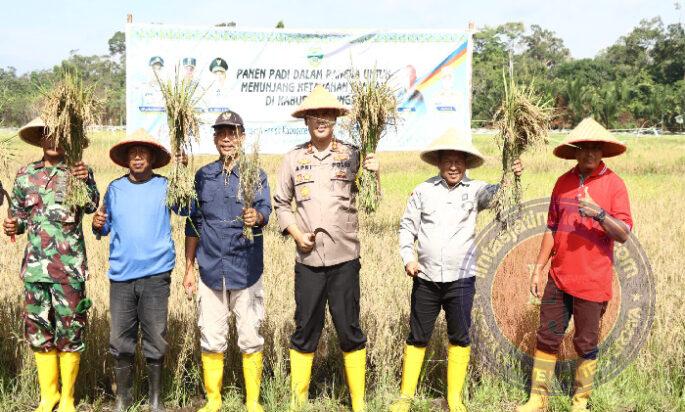 Kapolres Lingga Panen Padi Sawah di Desa Lanjut desa ketahanan pangan