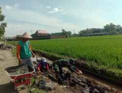 Bersama Membangun Talud Irigasi Sebuah Tindakan Nyata untuk Masa Depan Petani yang Lebih Baik