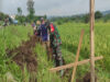 Babinsa Simo Bantu Warga Perbaiki Saluran Irigasi