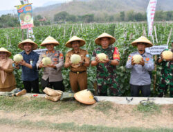 Wujudkan Ketahanan Pangan, Dandim 0802/Ponorogo Hadiri Panen Raya Melon