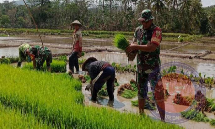 Maksimalkan Peran Babinsa Dalam Pendampingan pertanian, Ini Pesan Dandim 0801/Pacitan