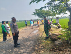 Gropyokan Hama Tikus, Upaya Babinsa Kwadungan Jaga Ketahanan Pangan di Wilayahnya