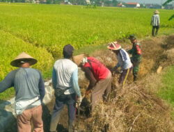 Dukung Ketahanan Pangan, Babinsa Koramil Mantingan Bantu Pembersihan Irigasi