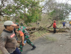 Wujud Kepedulian, Babinsa dan Bhabinkamtibmas Bantu Warga Tebang Pohon Kering