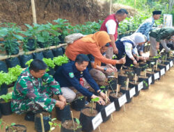 Sinergi TNI dan Pemkab Trenggalek: Gerakan Tanam Serentak P2L, Wujudkan Ketahanan Pangan Desa