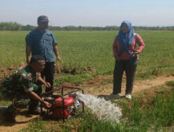 Babinsa Koramil 0805/08 Jogorogo melaksanakan Pandampingan Pompanisasi Pertanian di Wilayah