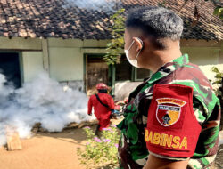 Cegah DBD, Babinsa Ramil 0801/01 Pacitan dampingi Fogging di Wilayah Binaan