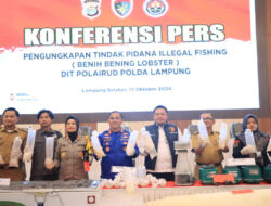 Penegakan Hukum Tegas untuk Perdagangan Benih Lobster Ilegal di Lampung