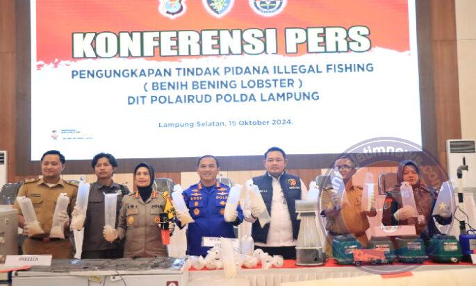 Penegakan Hukum Tegas untuk Perdagangan Benih Lobster Ilegal di Lampung