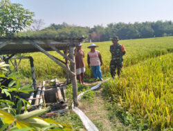 Babinsa Posramil Pitu Komsos dengan Petani di Wilayah Binaan