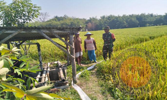 Babinsa Posramil Pitu Komsos dengan Petani di Wilayah Binaan