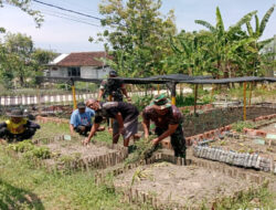 Babinsa Ajak Masyarakat Manfaatkan Lahan Kosong, Dukung Ketahanan Pangan