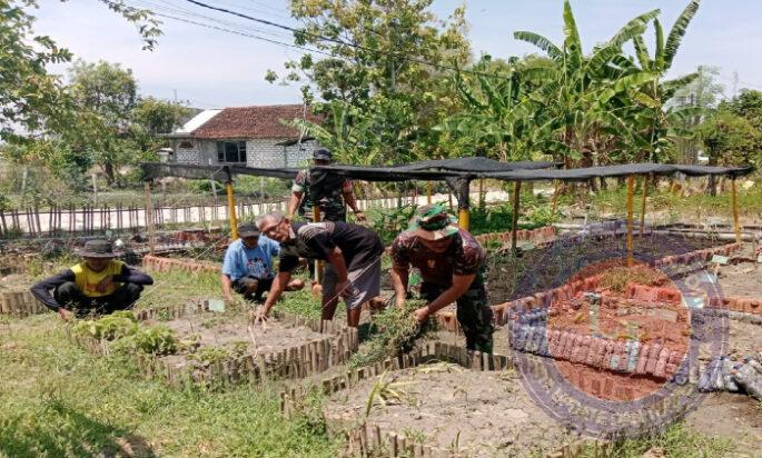 Babinsa Ajak Masyarakat Manfaatkan Lahan Kosong, Dukung Ketahanan Pangan