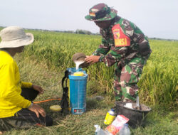 Babinsa Koramil Kwadungan Dampingi Petani dalam Penyemprotan Tanaman Padi