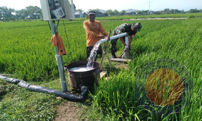 Aktif Dampingi Petani, Babinsa Kodim 0802/Ponorogo Bantu Pengairan di Sawah