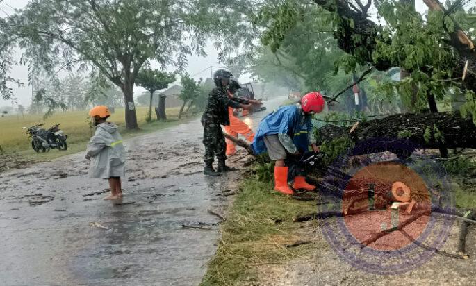 Gerak Cepat, Anggota Koramil 0805/04 Padas Bersama Masyarakat Atasi Pohon Tumbang