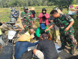 Atasi Hama Tikus, Babinsa Kendal Bersama Kelompok Tani Laksanakan Gropyokan Tikus