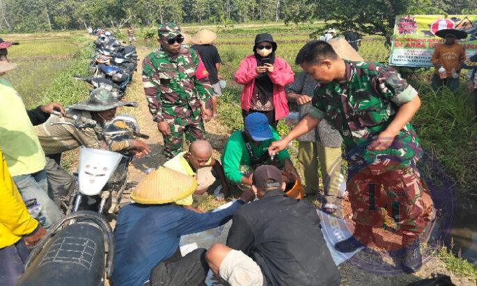 Atasi Hama Tikus, Babinsa Kendal Bersama Kelompok Tani Laksanakan Gropyokan Tikus